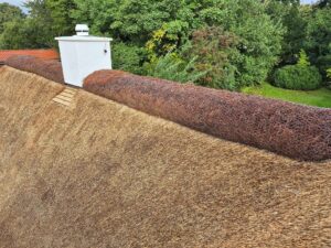 Nærbillede af tagets lyngmønning, som er sikret med net, tæt ved den hvide skorsten.