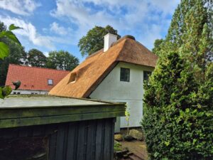 Husets gavl med det nye stråtag og en indbygget kvist, set fra haven.