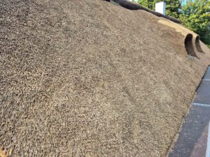 Nærbillede af den tætte tekstur på et nyt stråtag med kviste i baggrunden.