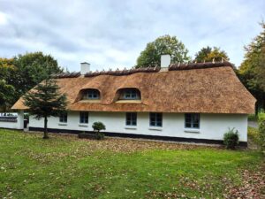 Langt, hvidt hus med nylagt stråtag, to buede kviste og kragetræer på mønningen.