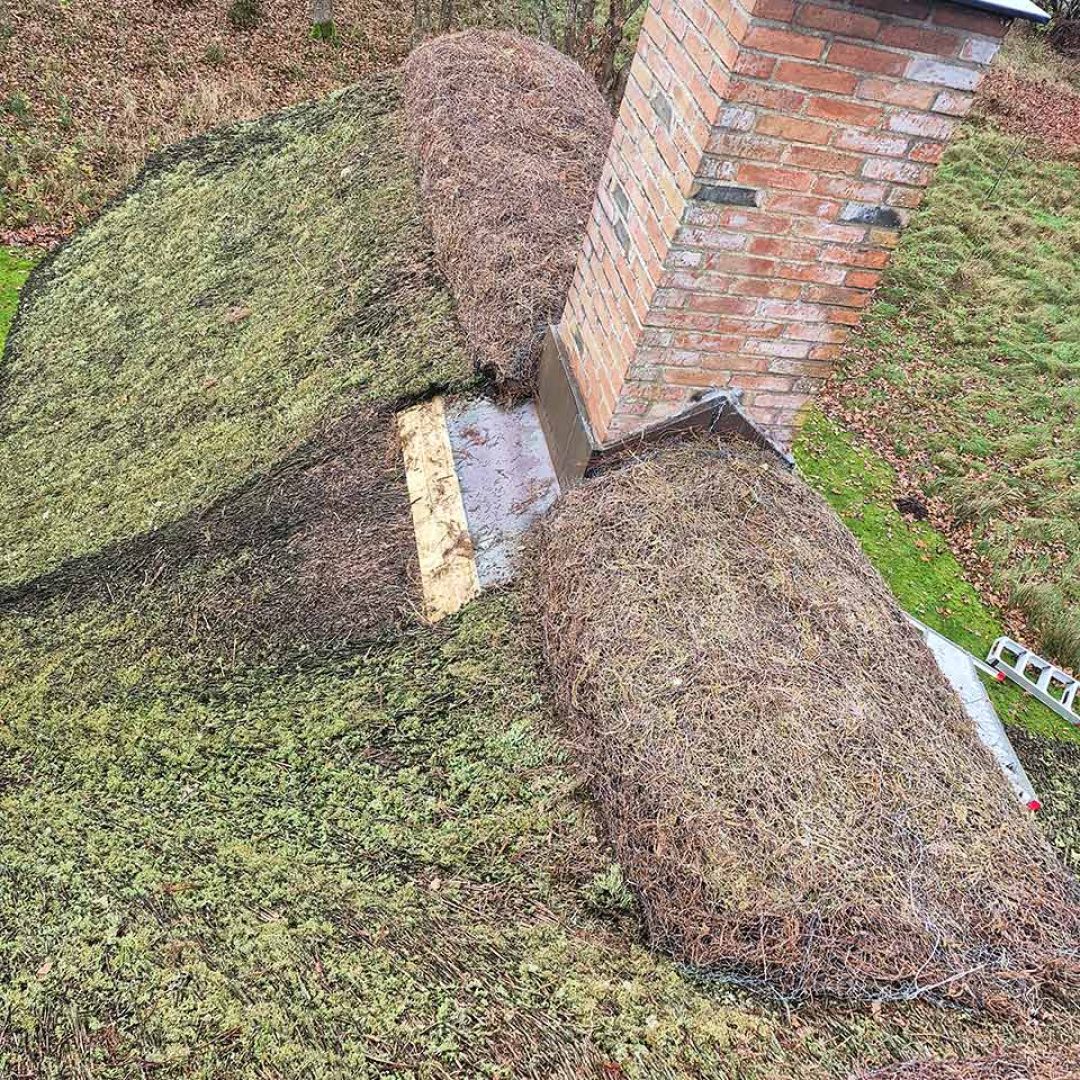 Repareret lyngrygning og en murstensskorsten