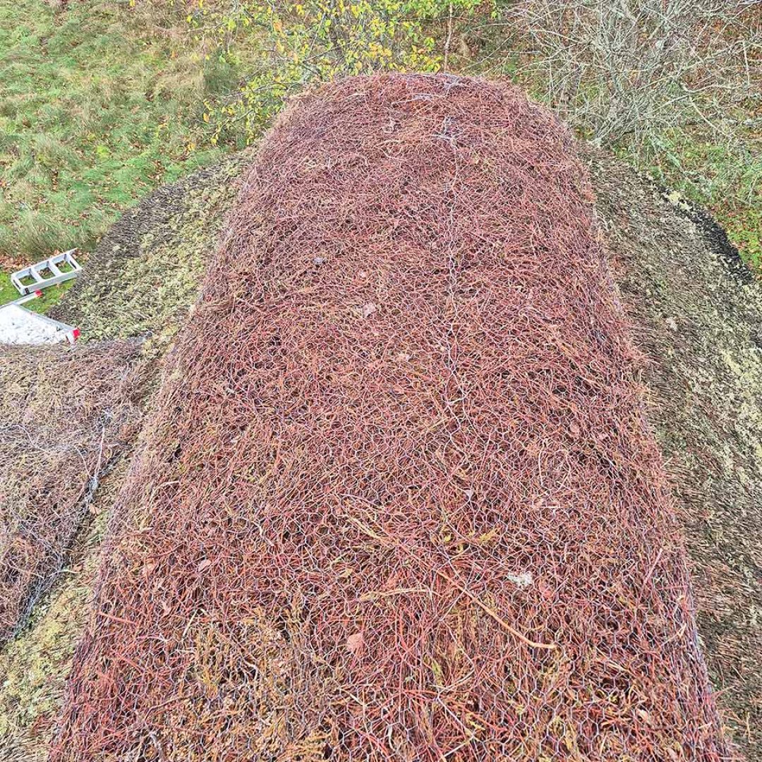 Repareret lyngrygning på stråtag.