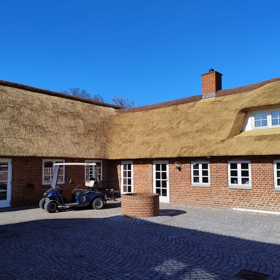 Nyt Stråtag Jettes Strudsefarm 2025