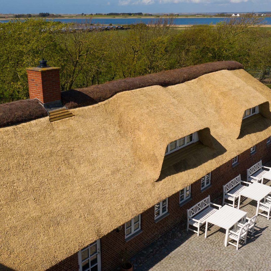 Nyt Stråtag Ringkøbing Strudsefarm 2025 (7)