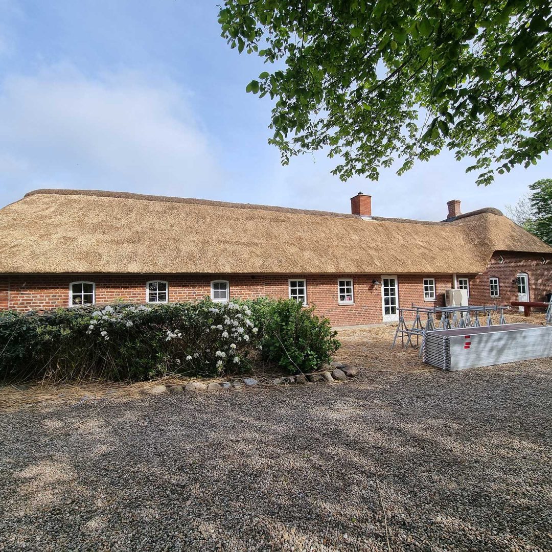 Nyt Stråtag Ringkøbing Strudsefarm