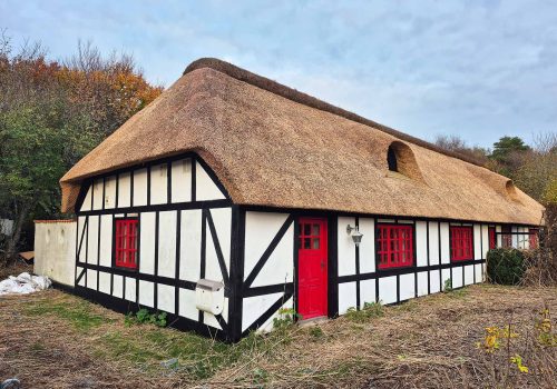 Nyt stråtag Ålbæk (12)